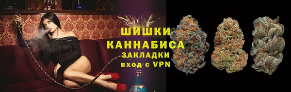 ешки Аркадак