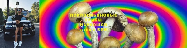 ECSTASY Алзамай