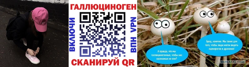 Псилоцибиновые грибы Cubensis кракен зеркало Сенгилей